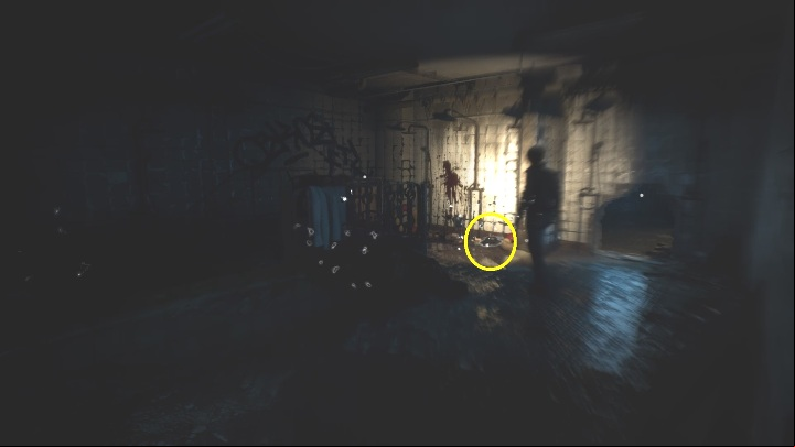 6 - The Medium: Echoes - list - Secrets and Collectibles - The Medium Guide