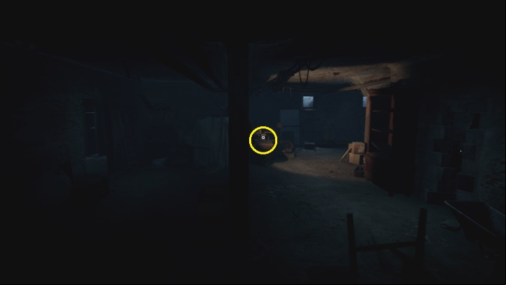Location: in the basement, in Thomas' house - The Medium: Echoes - list - Secrets and Collectibles - The Medium Guide