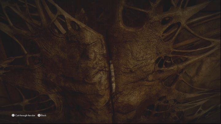 Return to your normal form and approach the wall covered by skin - The Medium: Encounter with Sadness - walkthrough - Walkthrough - The Medium Guide