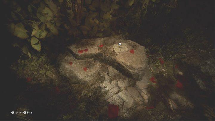 The last item is on a rock that should be easy to spot – there are petals of a red flower scattered around - The Medium: Richards House - walkthrough - The Medium Guide