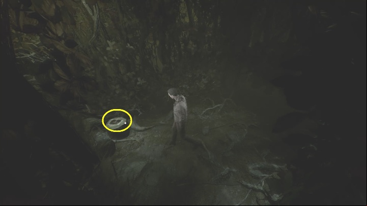 27 - The Medium: Richards House - walkthrough - The Medium Guide
