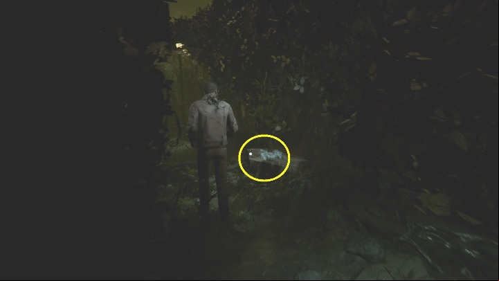 28 - The Medium: Richards House - walkthrough - The Medium Guide