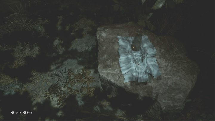You will find the empty milk bottle and the crumbs on the rock in the right part of the maze - The Medium: Richards House - walkthrough - The Medium Guide