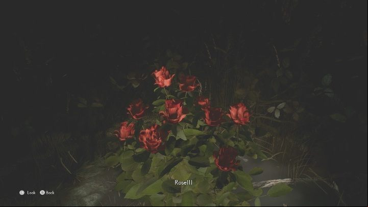 The last important element is the roses, which you will find on the final path - The Medium: Richards House - walkthrough - The Medium Guide