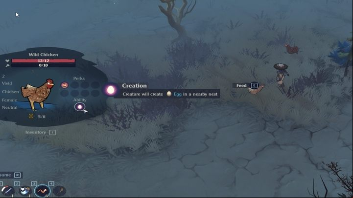 The Serpent Rogue allows you to raise animals in the pen - The Serpent Rogue: Chicken breeding - Followers and Monsters - The Serpent Rogue Guide