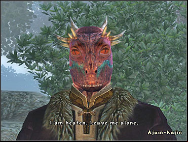 Its your duty to interrogate the prisoner now - Oblivion: Information Gatherin - Fighters Guild - The Elder Scrolls IV: Oblivion Game Guide & Walkthrough