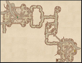 Pool of Dementia - Oblivion: Main Quests part 4 - Quests - The Elder Scrolls IV: Oblivion Game Guide & Walkthrough