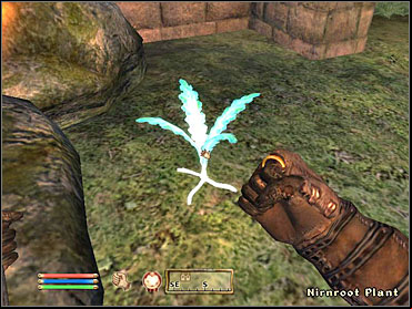 Sinderion wants you to bring him 10 roots, and will point you towards a grove to the north where youll find some of them - Oblivion: Other - Miscellaneous quests - The Elder Scrolls IV: Oblivion Game Guide & Walkthrough