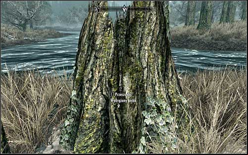 You should start looking for treasures only after youve learned locations of all four hiding places - Miscellaneous: Take the hidden treasure - The Dark Brotherhood quests - The Elder Scrolls V: Skyrim Game Guide