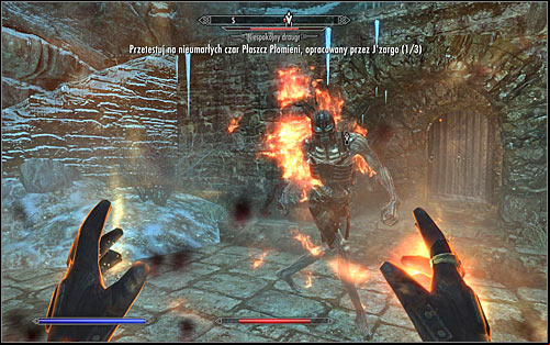 Now you just need to approach the monsters and wait for the spells effects (screen above) - JZargos Experiment - College of Winterhold quests - The Elder Scrolls V: Skyrim Game Guide