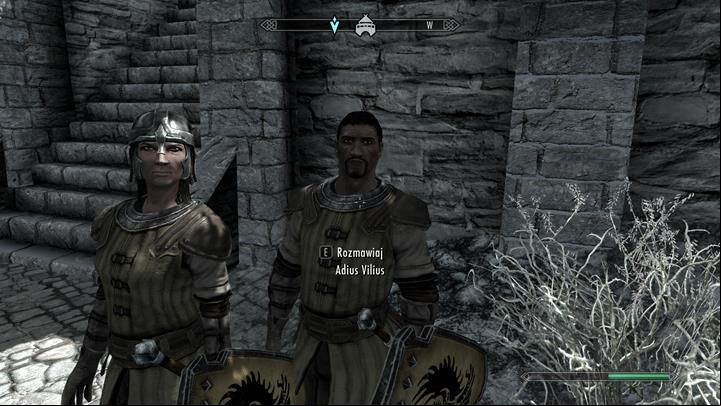Return to Adius and tell him that Bentior refuses to help. - Absent Antiquity | Quests in the game - Quests in the game - The Elder Scrolls V: Skyrim Game Guide