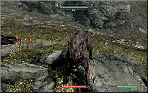 Keep heading north and be ready to fight off some Wolves (screen above) - Meeting with Alvor | Before the Storm - Before the Storm - The Elder Scrolls V: Skyrim Game Guide