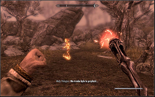 Once again use the Wabbajack on the sleeping Pelagius - The Mind of Madness - p. 2 - Daedric quests - The Elder Scrolls V: Skyrim Game Guide