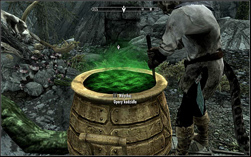Wait for the Khajiit to throw the ingredients into the cauldron and stir them properly - The Only Cure - p. 1 - Daedric quests - The Elder Scrolls V: Skyrim Game Guide