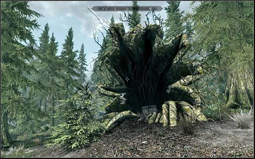 There, at the bottom of the mountains, inside a tree trunk you will find the chest (screen above) - Treasure Maps (I) | Side quests - Side quests - The Elder Scrolls V: Skyrim Game Guide