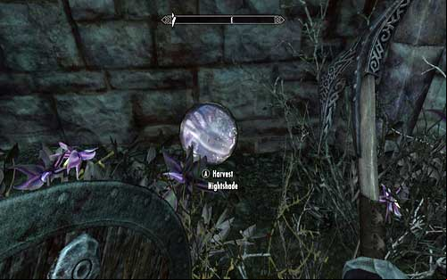 The first one can be found in the bushes behind the fence (to the right of the dial) - Chasing Echoes - p. 1 - Vampire Lord path - The Elder Scrolls V: Skyrim - Dawnguard - Game Guide and Walkthrough