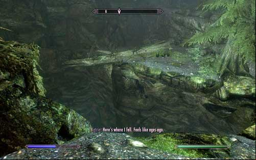 You will also learn that at the end of the fallen tree trunk you can find her bow, Zephyr - Lost to the Ages - p. 1 - Mutual side missions - The Elder Scrolls V: Skyrim - Dawnguard - Game Guide and Walkthrough