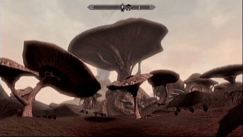 Neloth lives in the biggest of the mushrooms - the one in the middle of the courtyard - Talk to Neloth | Main story mode - Path of Knowledge - Main story mode - Path of Knowledge - The Elder Scrolls V: Skyrim - Dragonborn Game Guide