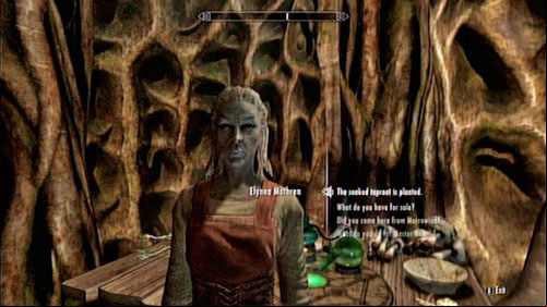 Return to the apothecary and tell Elynea that everythings done - Healing a House | Side missions - Tel Mithryn - Side missions - Tel Mithryn - The Elder Scrolls V: Skyrim - Dragonborn Game Guide