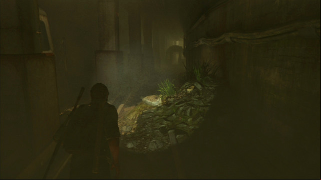 As soon as the area is clear, run along the tracks, and walk through the railcars here and there - The Last of Us: The Capitol Building, The Outskirts Walkthrough, map - The Outskirts - The Last of Us Guide
