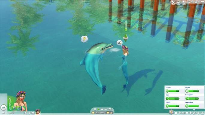 Dolphins can be your friend. - The Sims 4 Island Living: Other new features and novelties - The Sims 4: Island Living - Sims 4 Guide