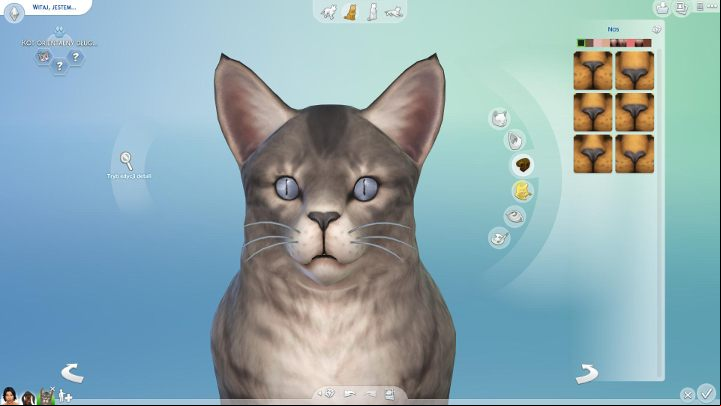After you click on a pets muzzle, you enter the edition mode, where you can customize the head shape, ears, nose and, in the case of cats, you can also customize their whiskers - The Sims 4 Cats & Dogs: Pet edition and creation - breed, builds, color - Sims 4: Cats & Dogs - Sims 4 Guide