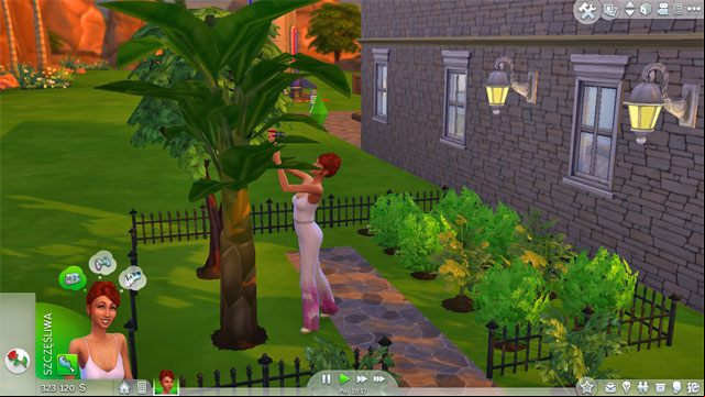 When the time will come you can choose the Collect the whole crop option and you will receive everything that your plants have born (the entire crop will appear in your inventory) - The Sims 4: Gardening - tips - Skills - Sims 4 Guide