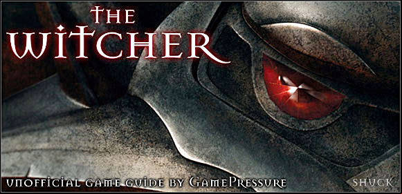 Preparation of this guide cost us a lot of work - The Witcher Game Guide & Walkthrough