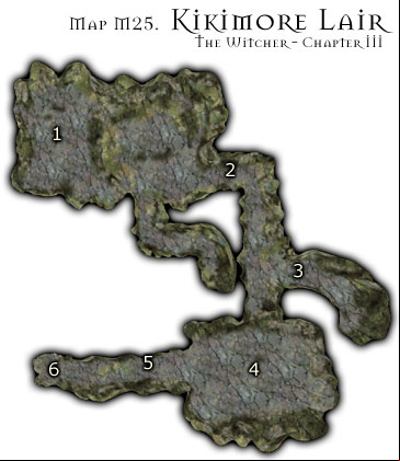 1 - Map M25 - Kikimore Lair | Walkthrough - Maps | Chapter III - The Witcher Game Guide & Walkthrough