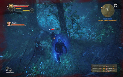 Run after the woman through the camp of Order of Flaming Rose until you reach the forest - Crown Witness - Side missions - Roche - The Witcher 2 Assassins of Kings Guide
