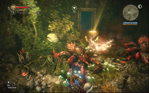 Before you reach a laboratory, you have to clean up the way for all travelers - The Secrets of Loc Muinne - Side missions - Iorweth - The Witcher 2 Assassins of Kings Guide