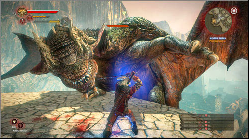 The fight here is similar - you have to attack the side of the head to deal the most damage - Enter the Dragon | Common main missions - Main missions - Common - The Witcher 2 Assassins of Kings Guide
