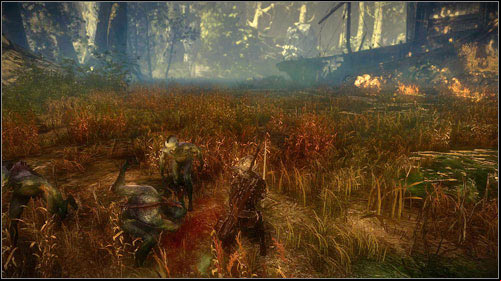 Go east and take the path going up to the left - The Kayran (steps 1-4) - Main missions - The Witcher 2 Assassins of Kings Guide