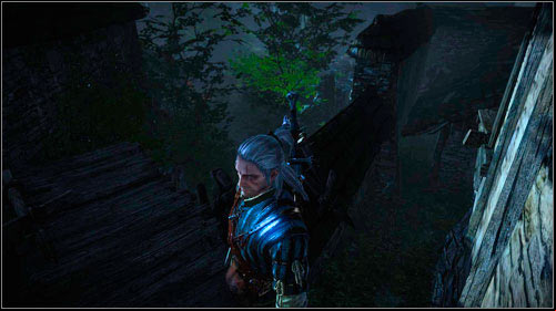 If you chose to Roche, you will have to wait until night-time (at least 8PM) to be able to climb up the ladder at the back of the residence (M7, 32) - Death to the Traitor! - Main missions - The Witcher 2 Assassins of Kings Guide