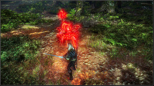 The mission is very easy, but rather time-consuming - The Endrega Contract - Side missions - The Witcher 2 Assassins of Kings Guide