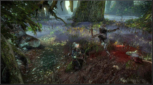 The mission is very easy, but rather time-consuming - The Nekker Contract - Side missions - The Witcher 2 Assassins of Kings Guide