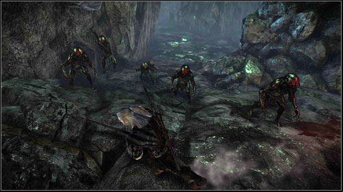 You can drink it at once or after defeating the big group of Nekkers (M9, 2) waiting for you inside - Malena - Side missions - The Witcher 2 Assassins of Kings Guide