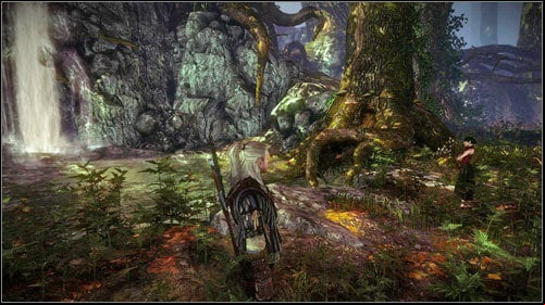 If you decide to lie, the elf will be grateful and will want to thank you - Malena - Side missions - The Witcher 2 Assassins of Kings Guide