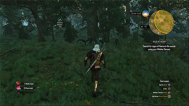 You must find and attack a group of wolves in the forest - The Witcher 3 Wild Hunt: Side quests, Crows Perch - list, walkthrough - Crows Perch - The Witcher 3 Wild Hunt Guide