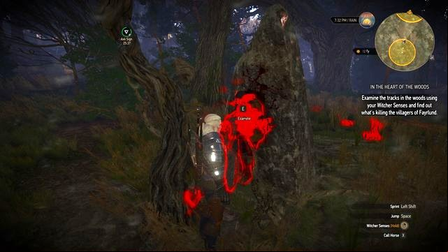 To learn with what you are dealing you must follow the trail into the forest. - The Witcher 3 Wild Hunt: Side quests in Kaer Muire - list, walkthrough - Kaer Muire - The Witcher 3 Wild Hunt Guide
