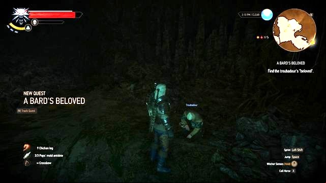 You will find the bard in the cave. - The Witcher 3 Wild Hunt: Side quests in Kaer Muire - list, walkthrough - Kaer Muire - The Witcher 3 Wild Hunt Guide