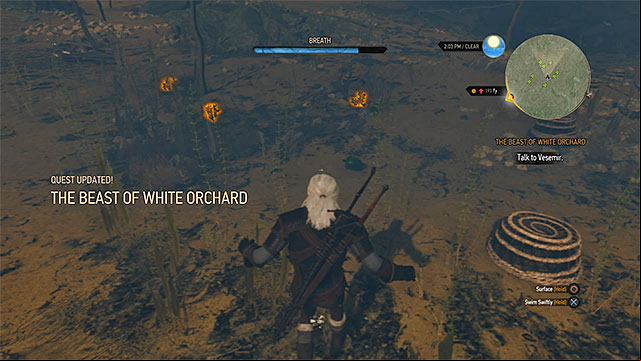 Buckthorn can be found diving so watch out for drowners - The Witcher 3 Wild Hunt: The Beast of White Orchard - walkthrough - Prologue and White Orchard - The Witcher 3 Wild Hunt Guide