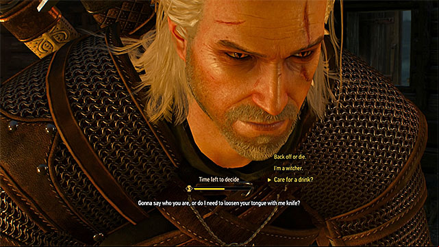 Make the decision before time runs out - The Witcher 3 Wild Hunt: The Nilfgaardian Connection - walkthrough - Prologue and White Orchard - The Witcher 3 Wild Hunt Guide