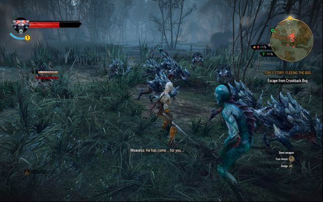 When you play as Ciri, run forward, you wont gain experience anyway - The Witcher 3 Wild Hunt: Ladies of the Wood - walkthrough - Crookback Bog - The Witcher 3 Wild Hunt Guide