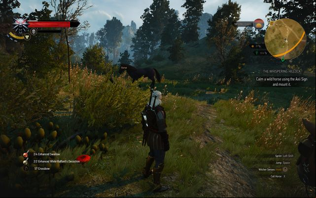 Pick any horse which you will take to the ghost - The Witcher 3 Wild Hunt: Side quests, Crookbag Bog - walkthrough - Crookback Bog - The Witcher 3 Wild Hunt Guide