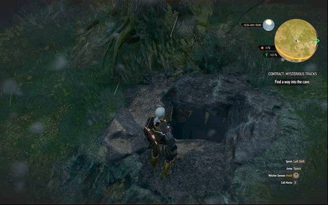 Entrance to monsters cave - The Witcher 3 Wild Hunt: Witcher contracts, Crookbag Bog - walkthrough - Crookback Bog - The Witcher 3 Wild Hunt Guide