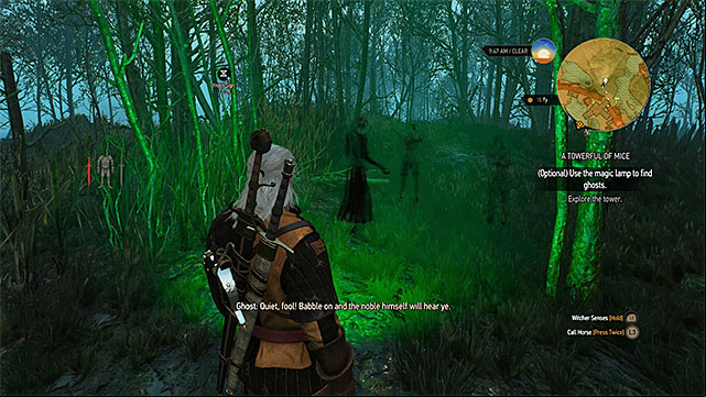 One of example ghost groups - find them with magic lamp - The Witcher 3 Wild Hunt: Side quests, Midcopse - walkthrough - Midcopse - The Witcher 3 Wild Hunt Guide