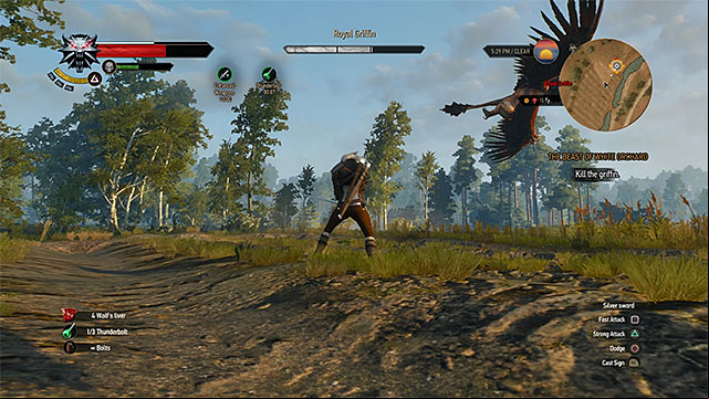 Avoid griffins air attacks - The Witcher 3 Wild Hunt: How to defeat a boss griffin in first fight? - Frequently Asked Questions (FAQ) - The Witcher 3 Wild Hunt Guide