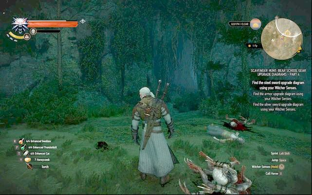 Cave - The Witcher 3 Wild Hunt: Mastercrafted Bear School Gear - Bear School Gear - The Witcher 3 Wild Hunt Guide