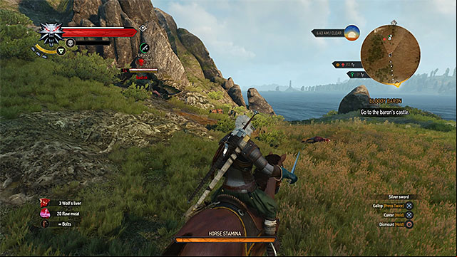 Try to examine from distance whether exploring a location is safe (are there any strong monsters guarding it) - The Witcher 3 Wild Hunt: Optional locations - question marks on the map, list - Exploring the game world - The Witcher 3 Wild Hunt Guide